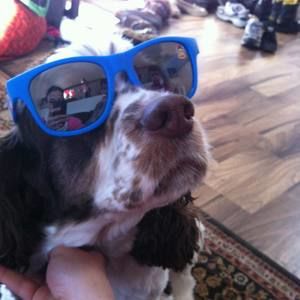 Meet your Posher, Sylvia